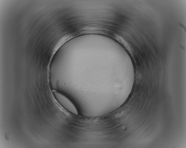 X0000090981386200708301239