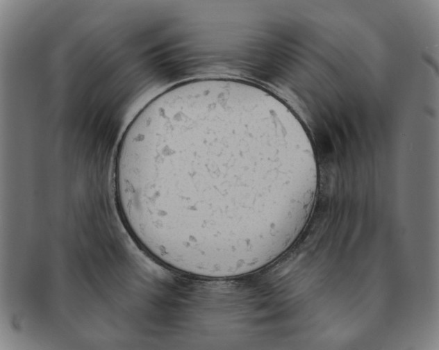 X0000090981387200708301239
