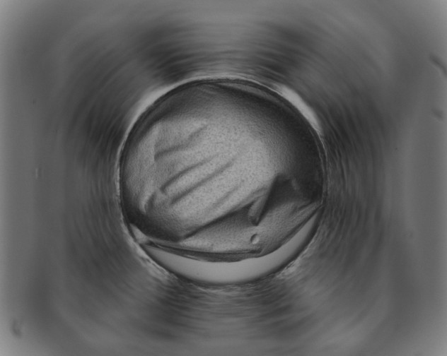 X0000090981388200708301239