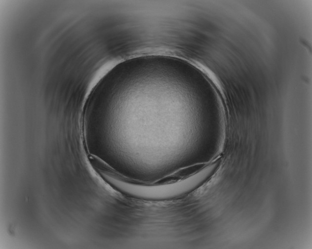 X0000090981389200708301239