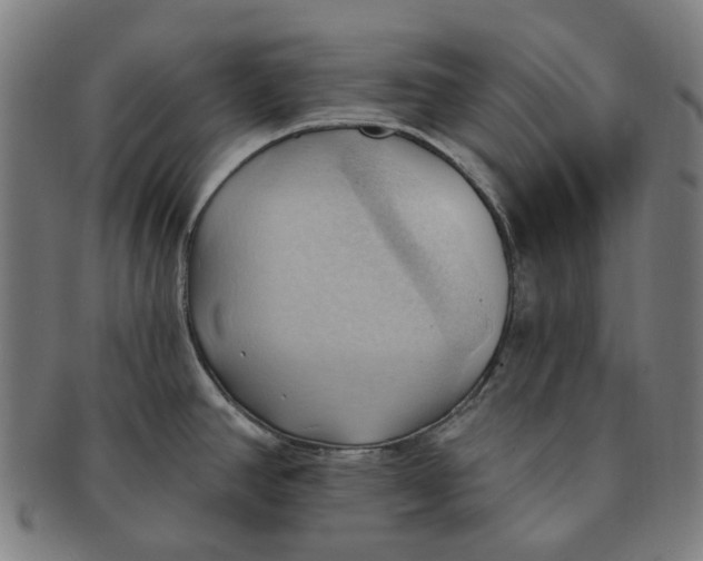 X0000090981390200708301239