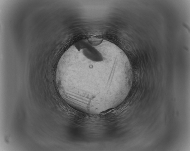 X0000090981393200708301238