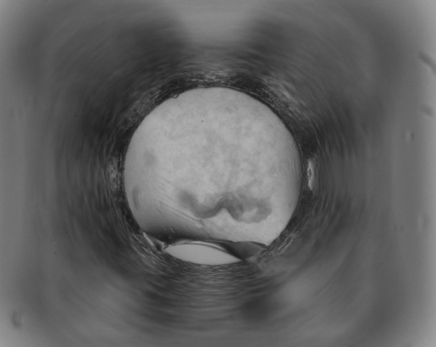 X0000090981395200708301238