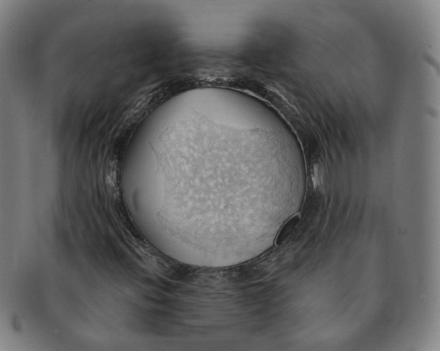 X0000090981396200708301238