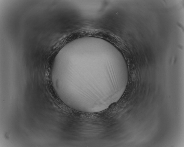 X0000090981397200708301238
