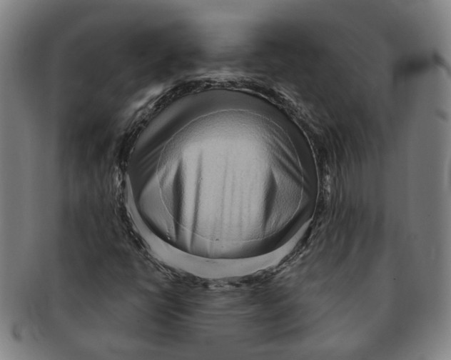 X0000090981398200708301238