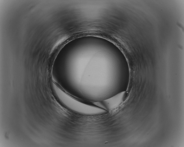 X0000090981402200708301238