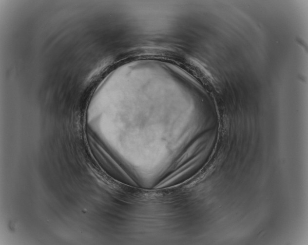 X0000090981403200708301238