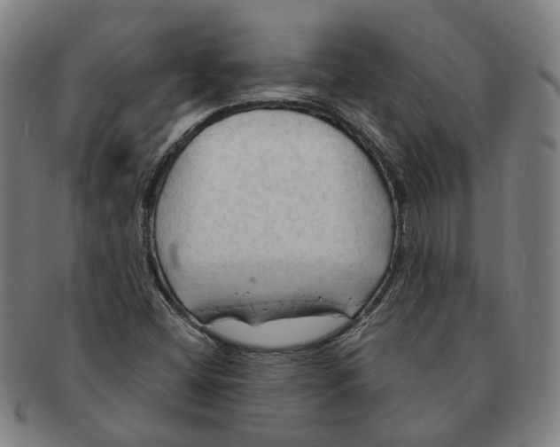 X0000090981404200708301238