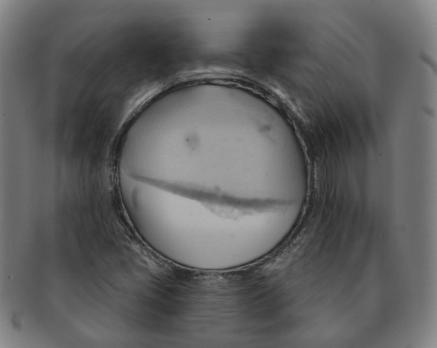 X0000090981405200708301238