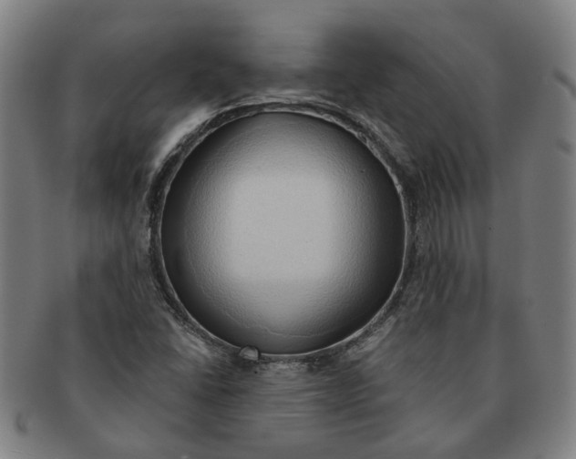 X0000090981406200708301238