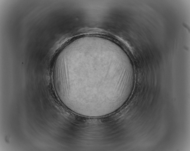X0000090981407200708301238