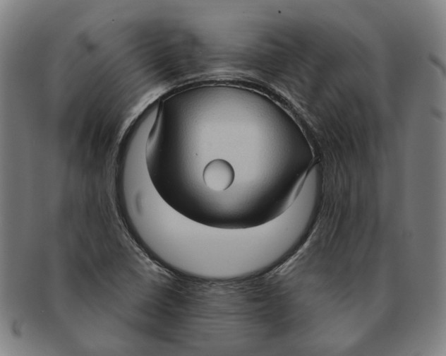X0000090981410200708301238