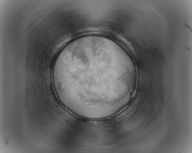 X0000090981411200708301238