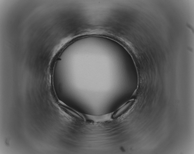 X0000090981414200708301239