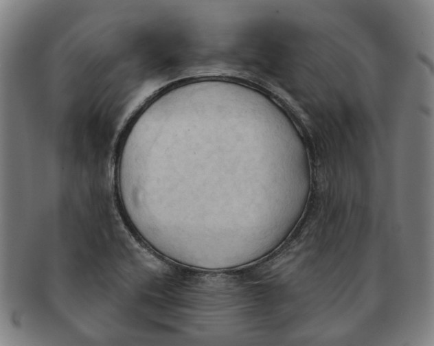 X0000090981416200708301239