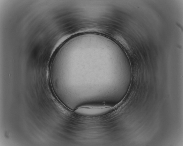 X0000090981420200708301239