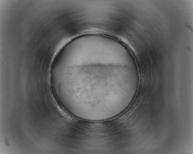 X0000090981421200708301239