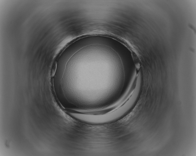 X0000090981422200708301239