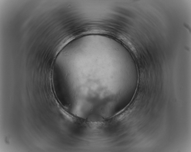 X0000090981425200708301239