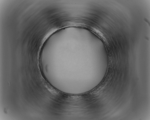 X0000090981427200708301239