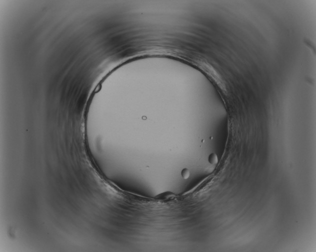 X0000090981428200708301239