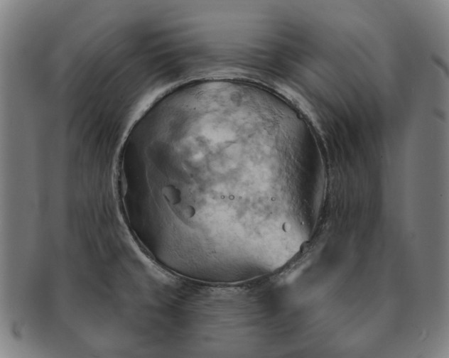 X0000090981429200708301239