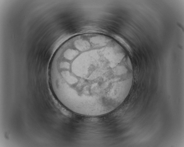 X0000090981431200708301239