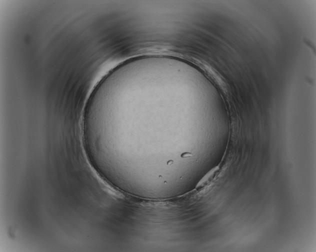 X0000090981432200708301239