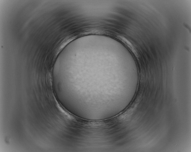 X0000090981433200708301239