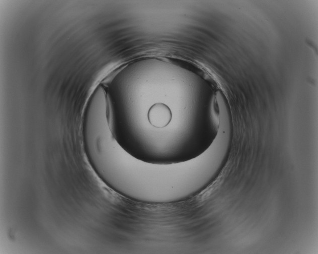 X0000090981434200708301239
