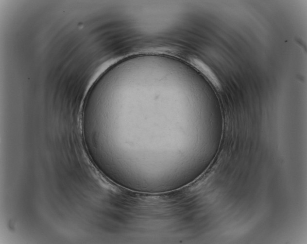 X0000090981436200708301239