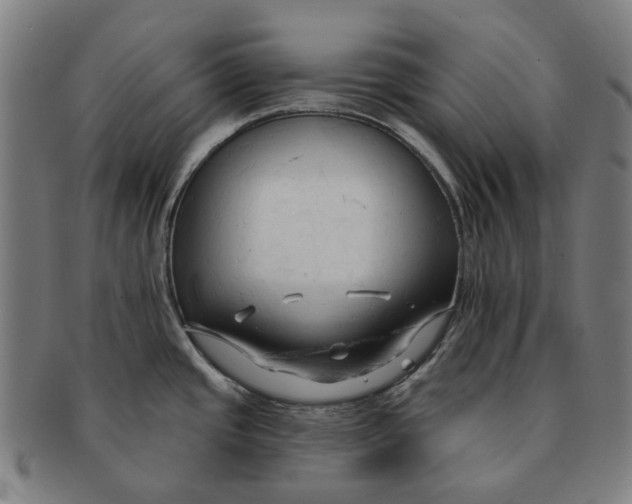 X0000090981437200708301239