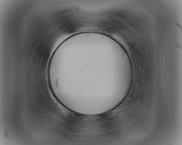 X0000090981440200708301239