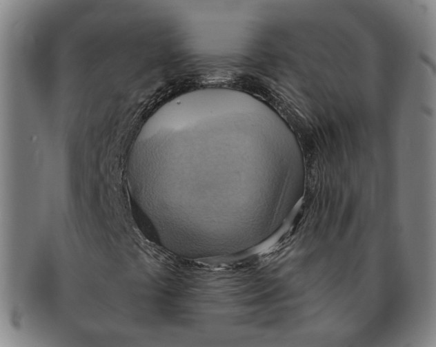 X0000090981441200708301238