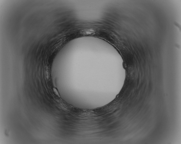 X0000090981442200708301238