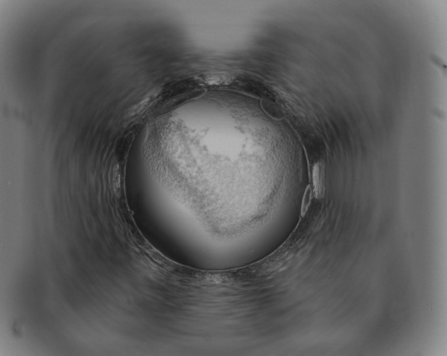 X0000090981443200708301238