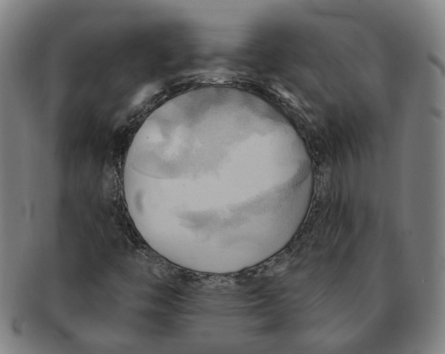 X0000090981446200708301238