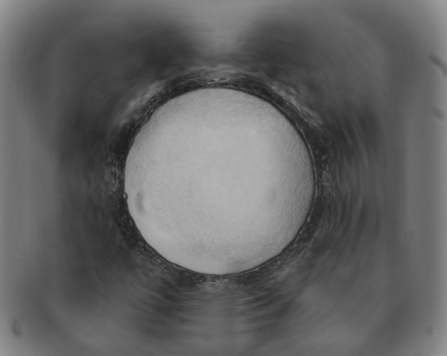 X0000090981447200708301238