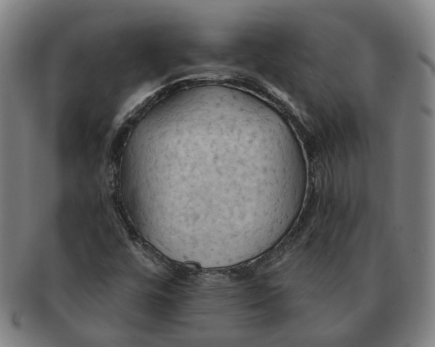 X0000090981448200708301238