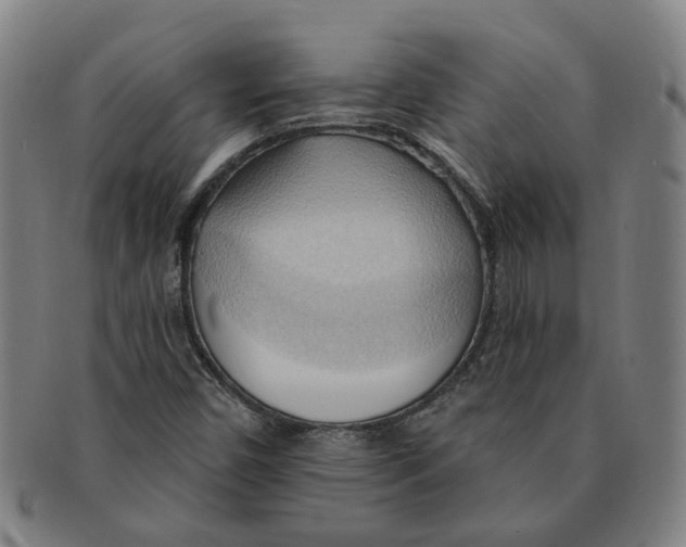 X0000090981450200708301238
