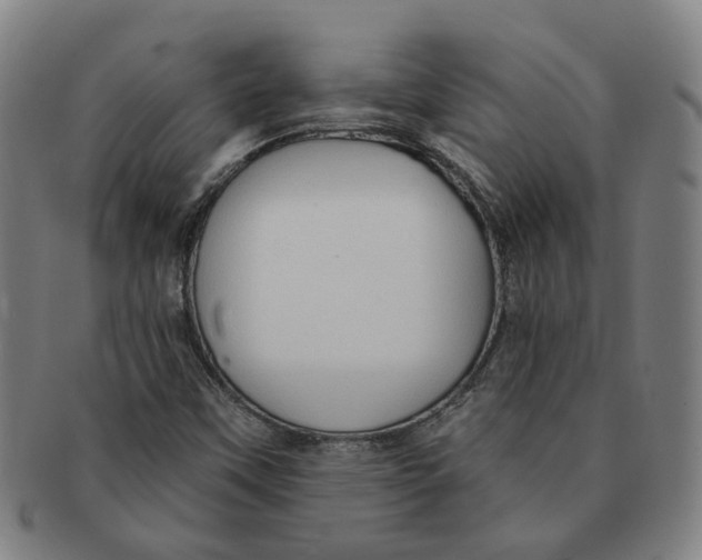 X0000090981451200708301238