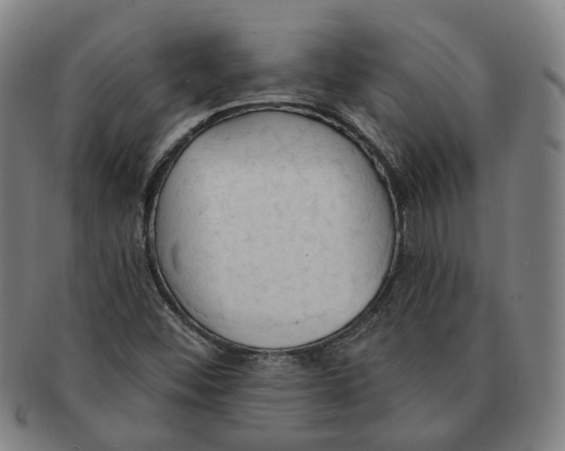X0000090981452200708301238