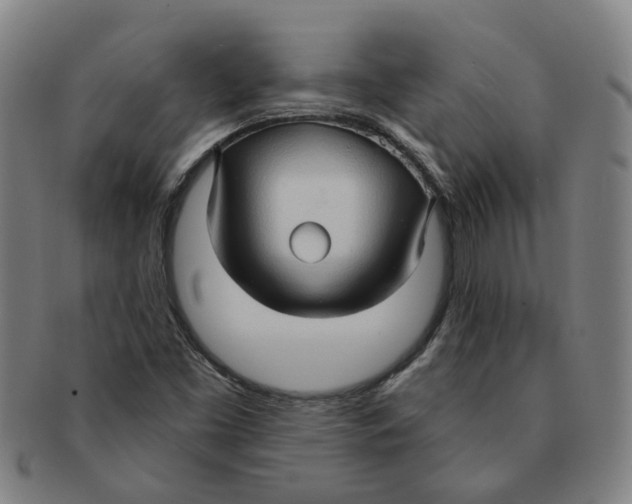 X0000090981453200708301238