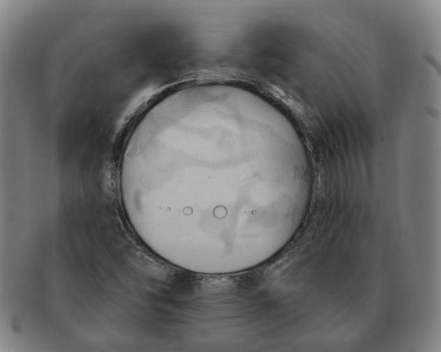 X0000090981454200708301238