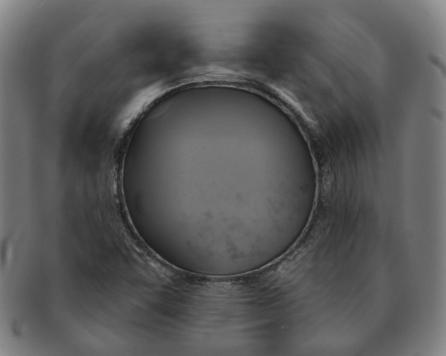 X0000090981455200708301238