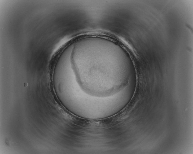 X0000090981456200708301238