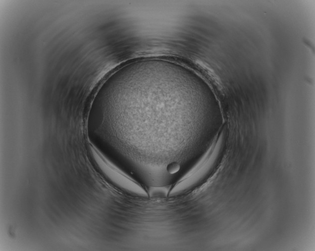 X0000090981457200708301238