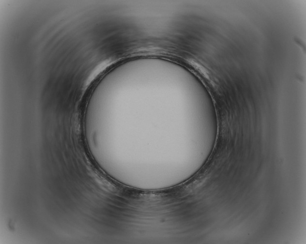 X0000090981458200708301238