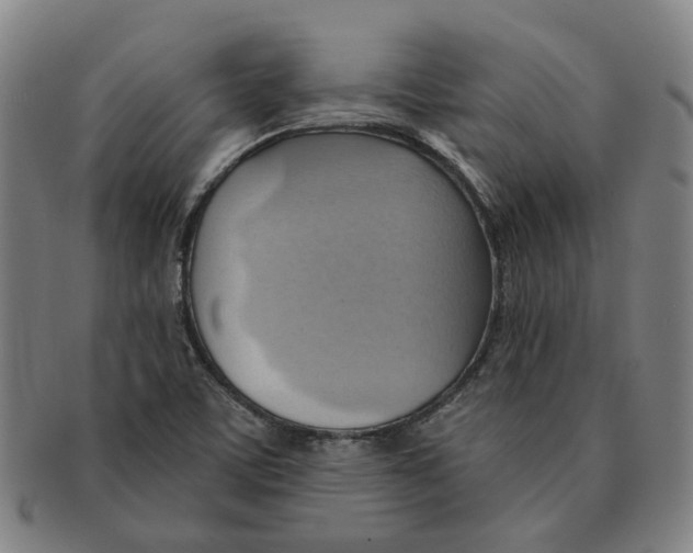X0000090981459200708301238